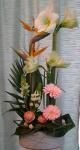 Composition hauteur Anthurium Oiseaux du Paradis et Amarylis - Boutique Vergez Tarnos